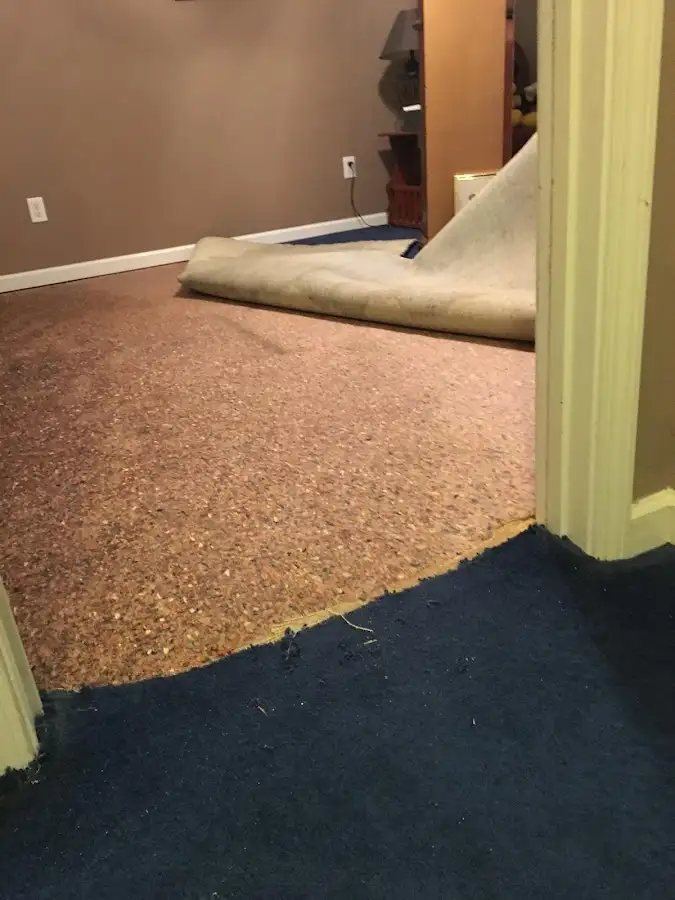 Carpet pad removal revealing water damage during Drying & Dehumidification in Mount Rainier