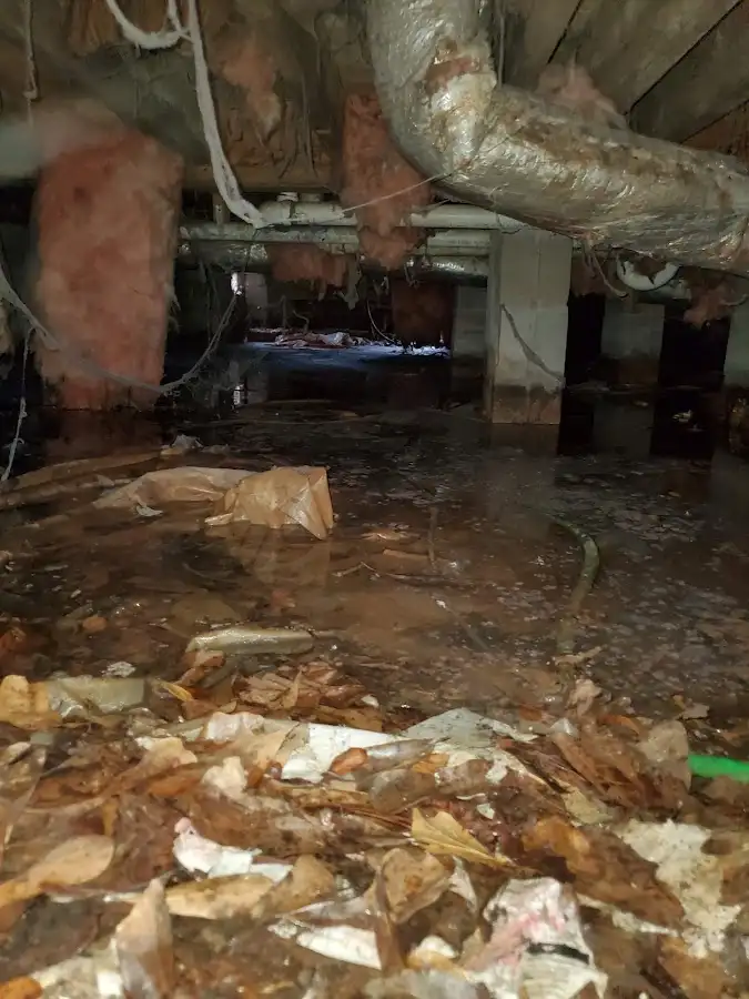 Crawl space flood assessment for Leak Detection & Repair in Mount Rainier