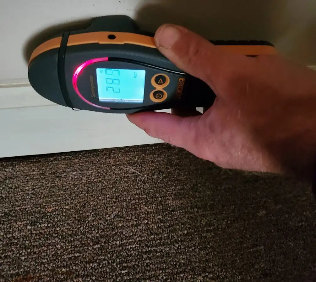 Moisture detection at baseboard during Storm Damage Restoration in Mount Rainier
